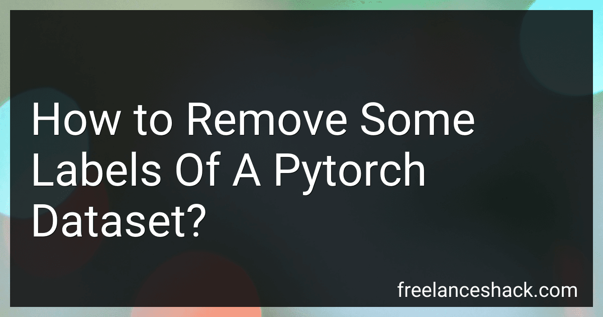 How to Remove Some Labels Of A Pytorch Dataset? preview