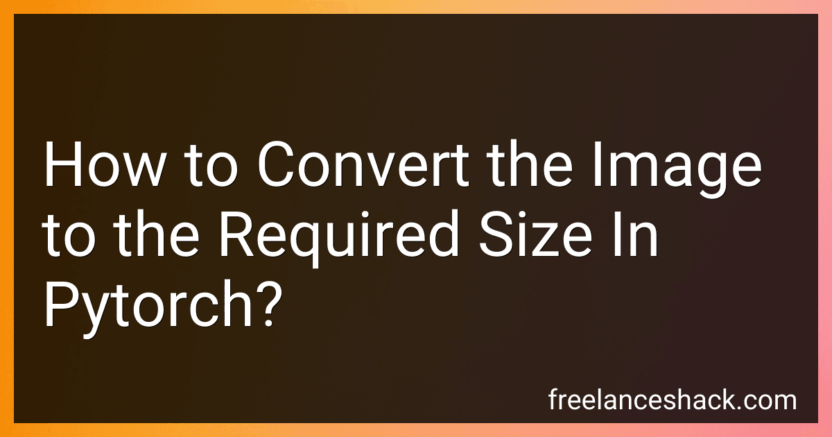 How to Convert the Image to the Required Size In Pytorch? image