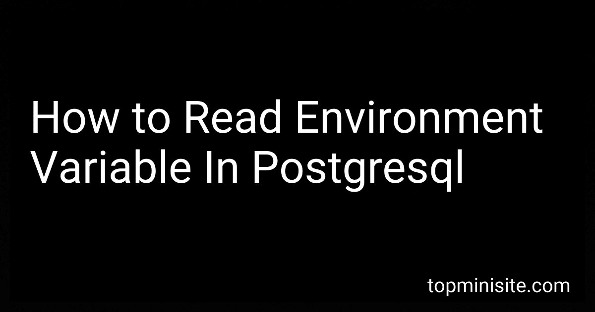 How to Read Environment Variable In Postgresql image