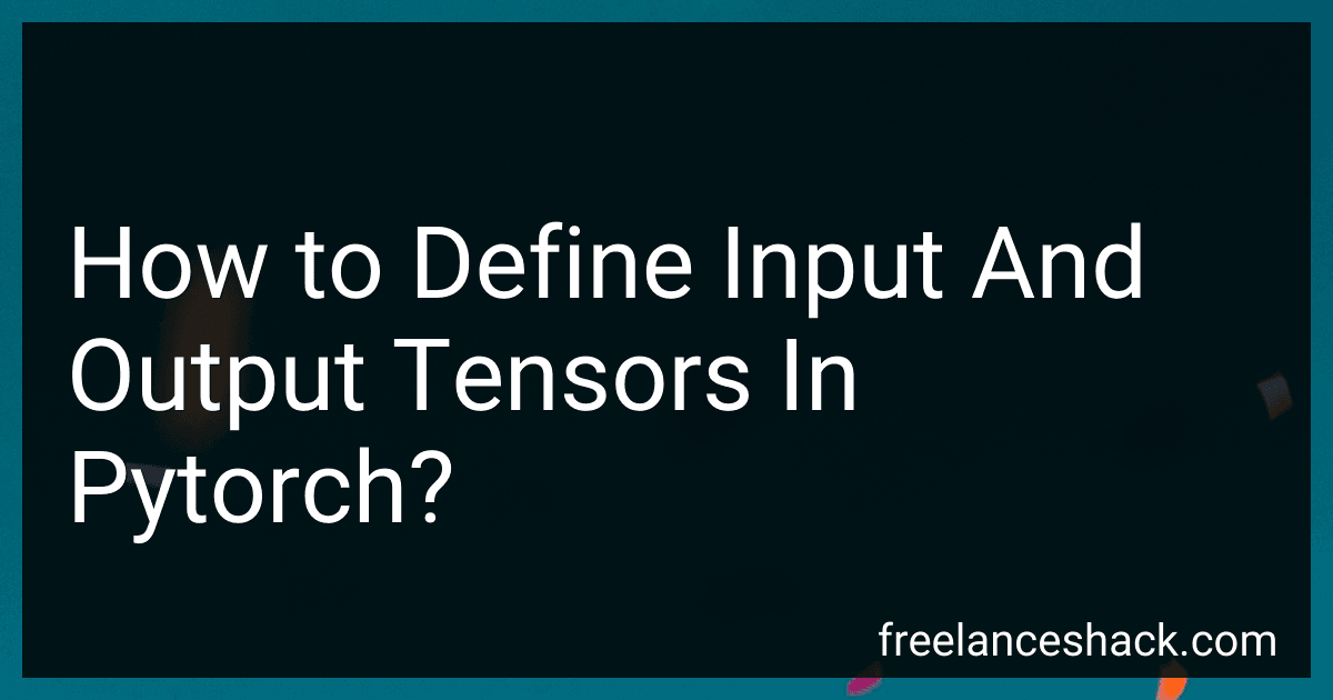 How to Define Input And Output Tensors In Pytorch? image