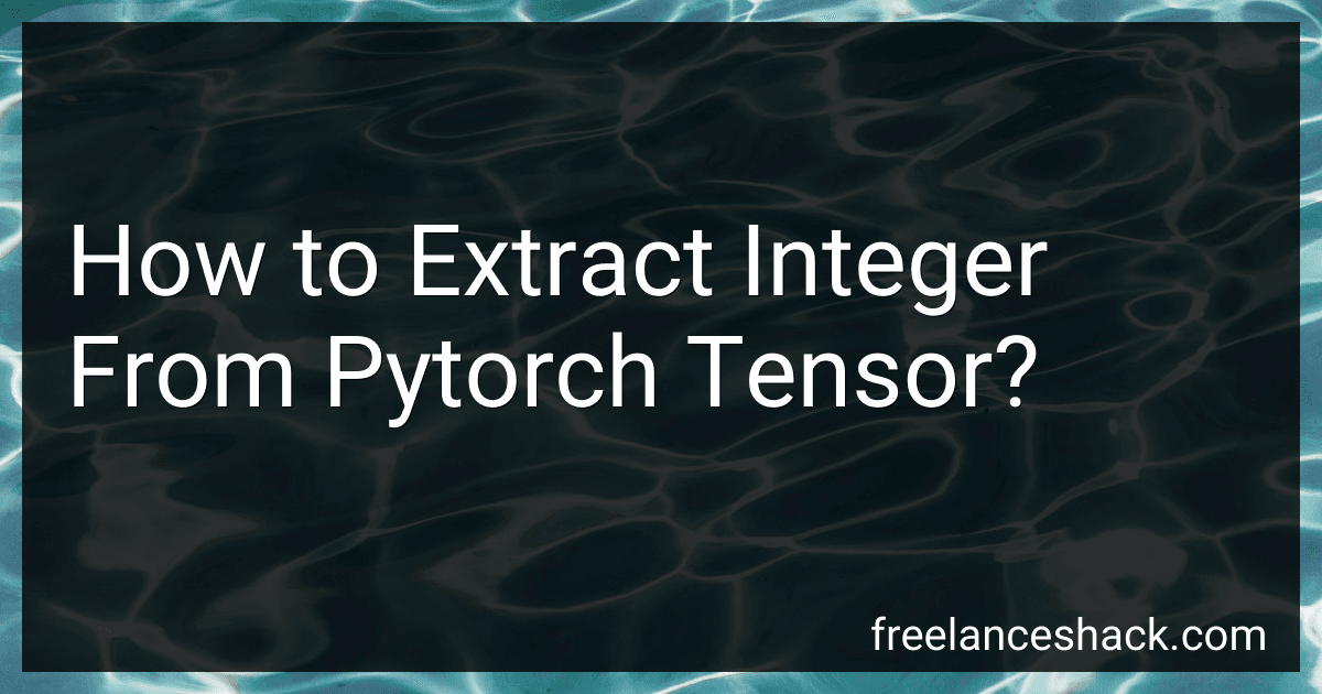 How to Extract Integer From Pytorch Tensor? image