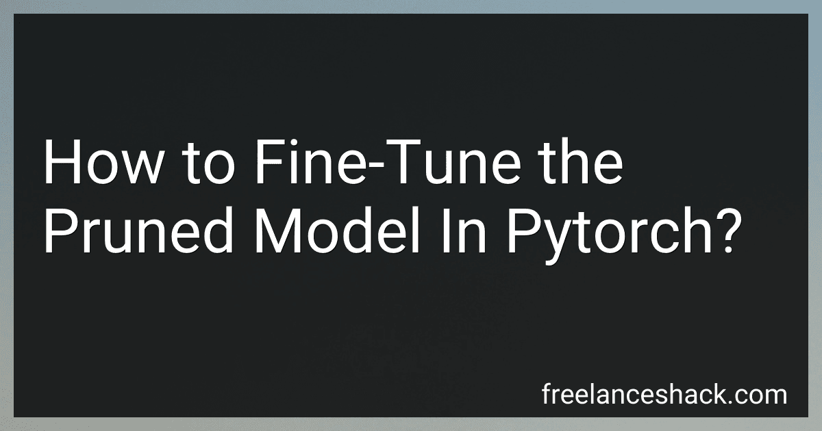 How to Fine-Tune the Pruned Model In Pytorch? preview