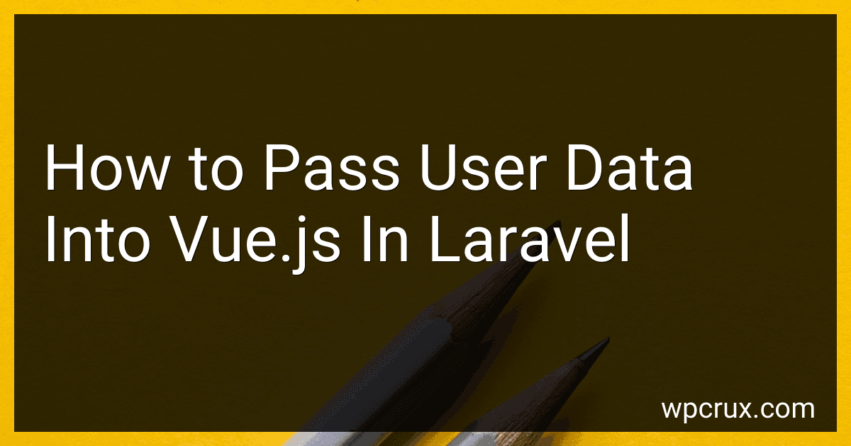 How to Pass User Data Into Vue.js In Laravel image