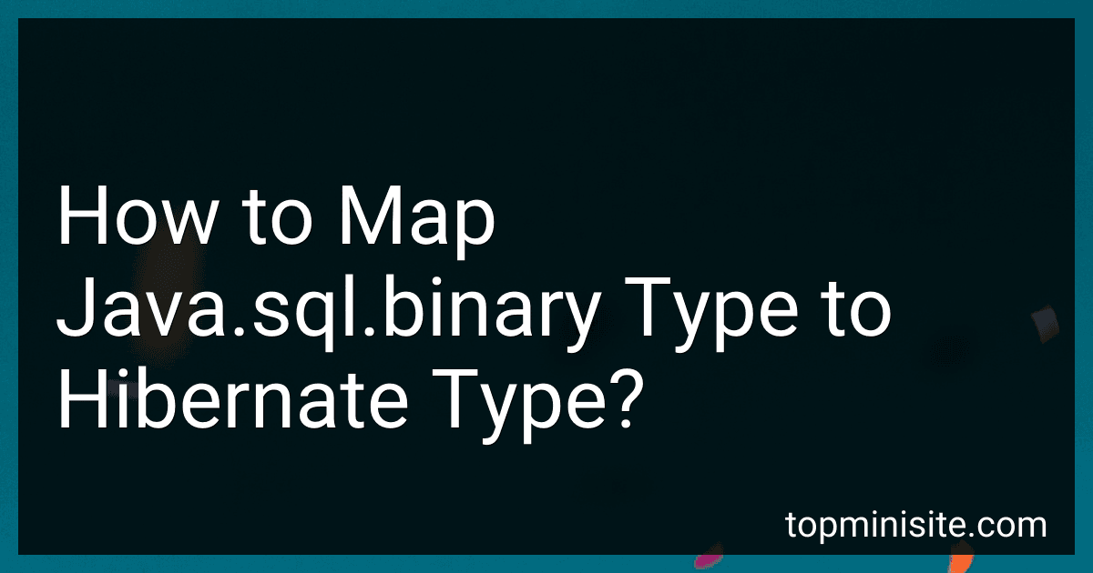 How to Map Java.sql.binary Type to Hibernate Type? image