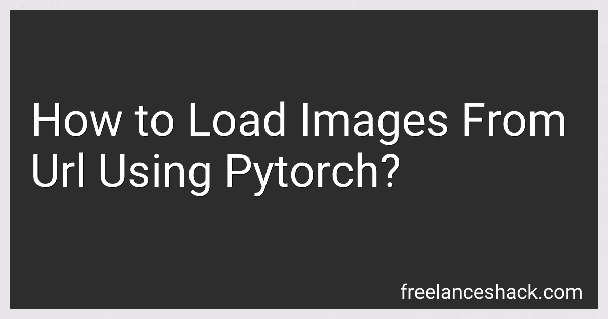 How to Load Images From Url Using Pytorch? image