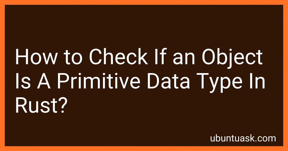 How to Check If an Object Is A Primitive Data Type In Rust? image