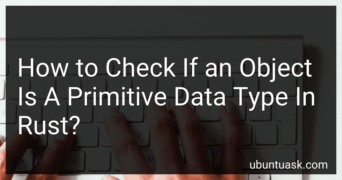 How to Check If an Object Is A Primitive Data Type In Rust? image
