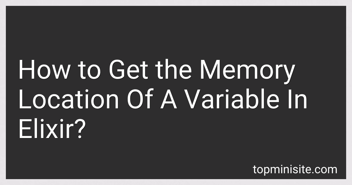 How to Get the Memory Location Of A Variable In Elixir? image