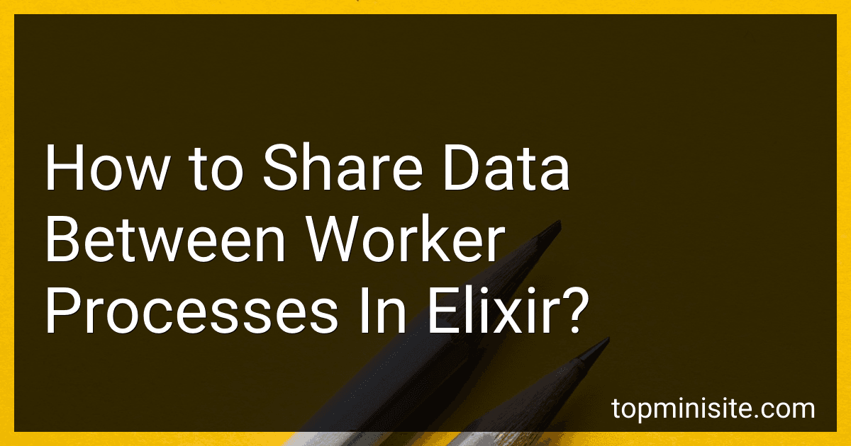 How to Share Data Between Worker Processes In Elixir? image