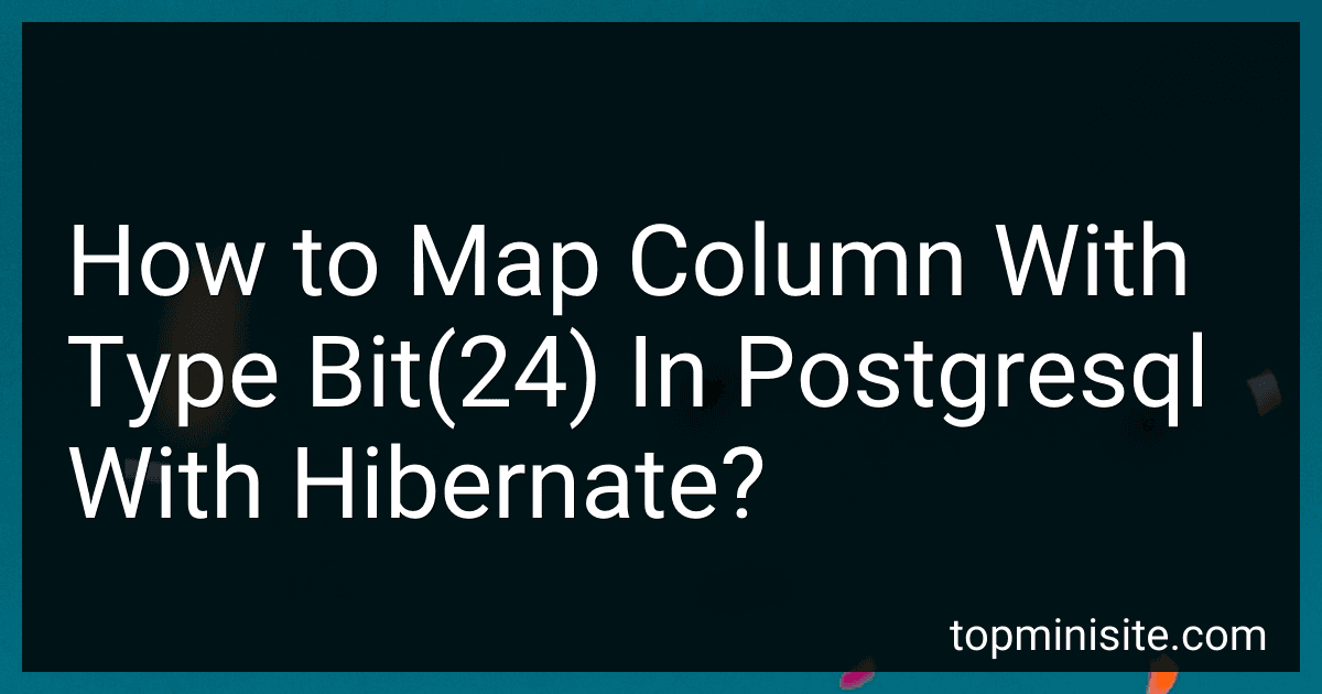 How to Map Column With Type Bit(24) In Postgresql With Hibernate? image