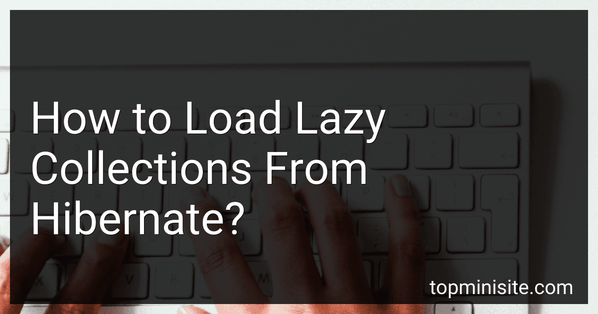 How to Load Lazy Collections From Hibernate? image