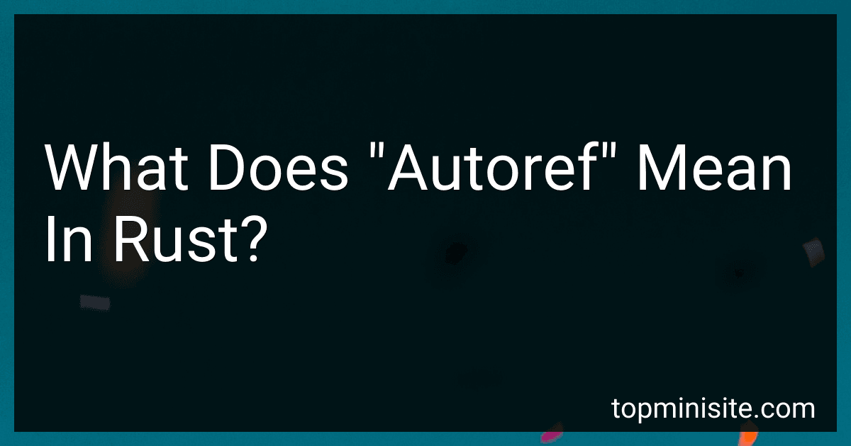 What Does "Autoref" Mean In Rust? image