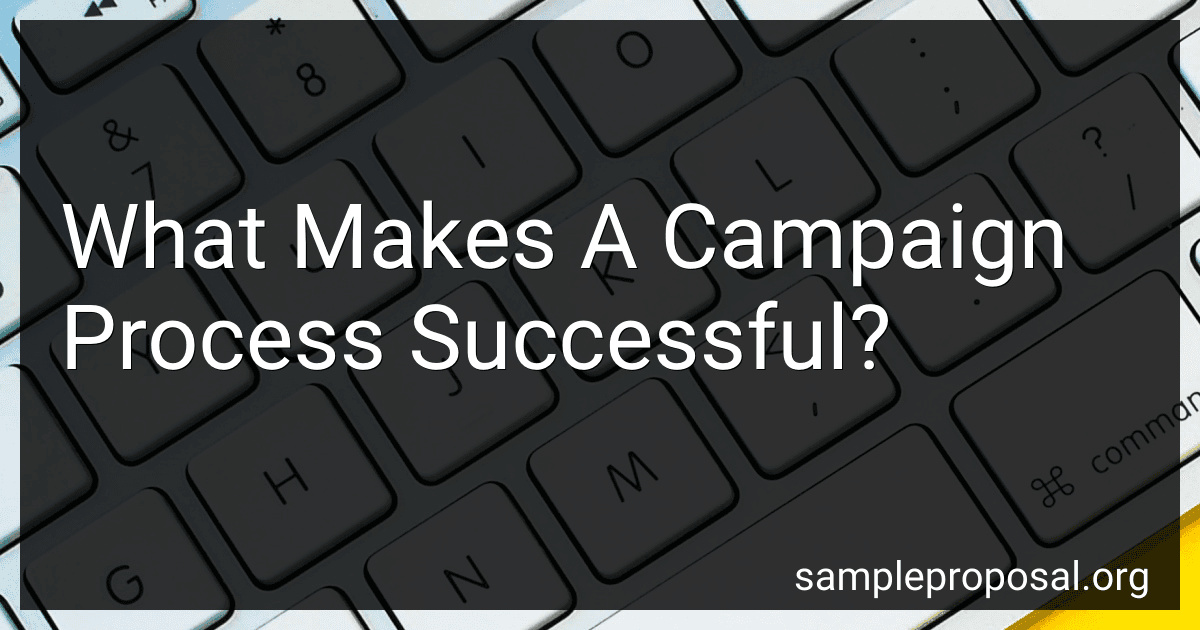 What Makes A Campaign Process Successful? image