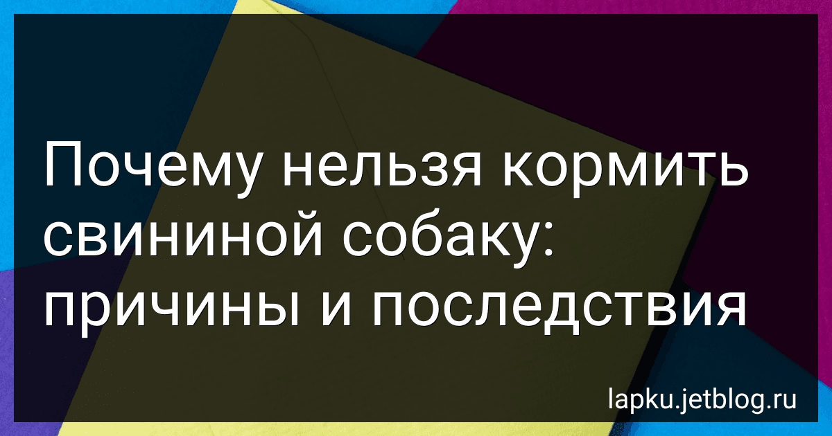 Почему нельзя кормить свининой собаку: причины и последствия preview