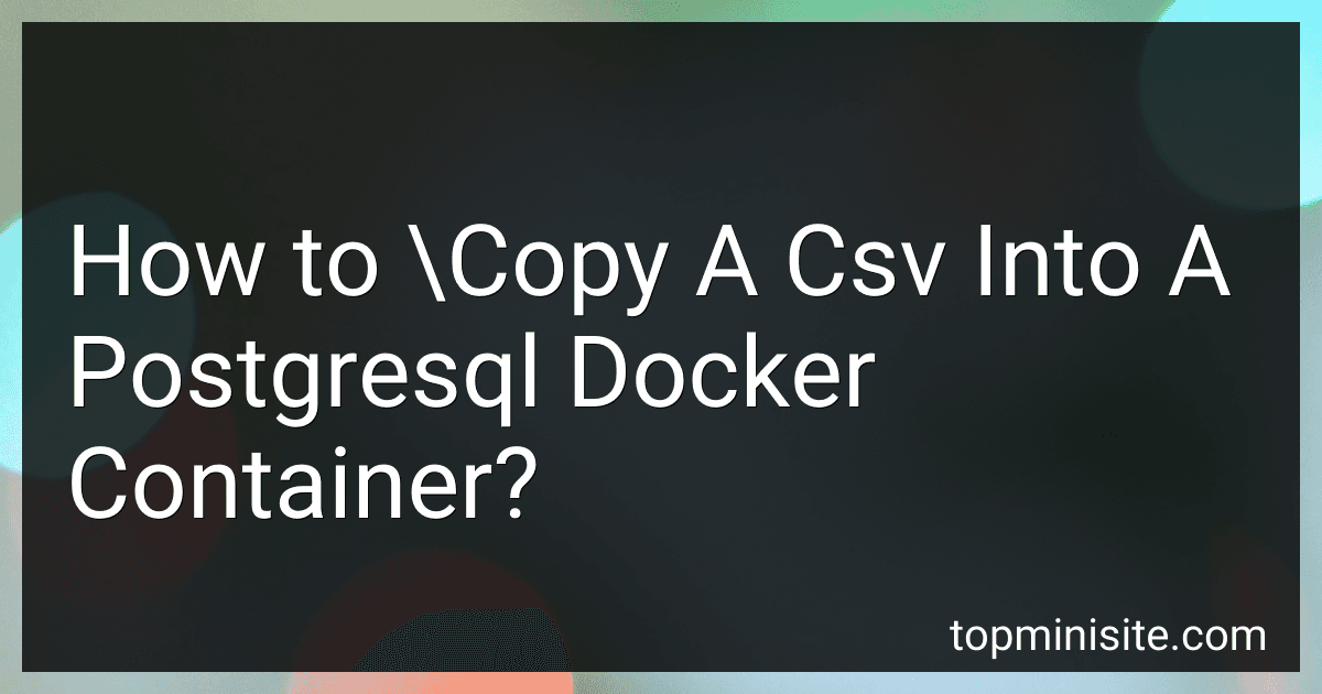 How to \Copy A Csv Into A Postgresql Docker Container? image