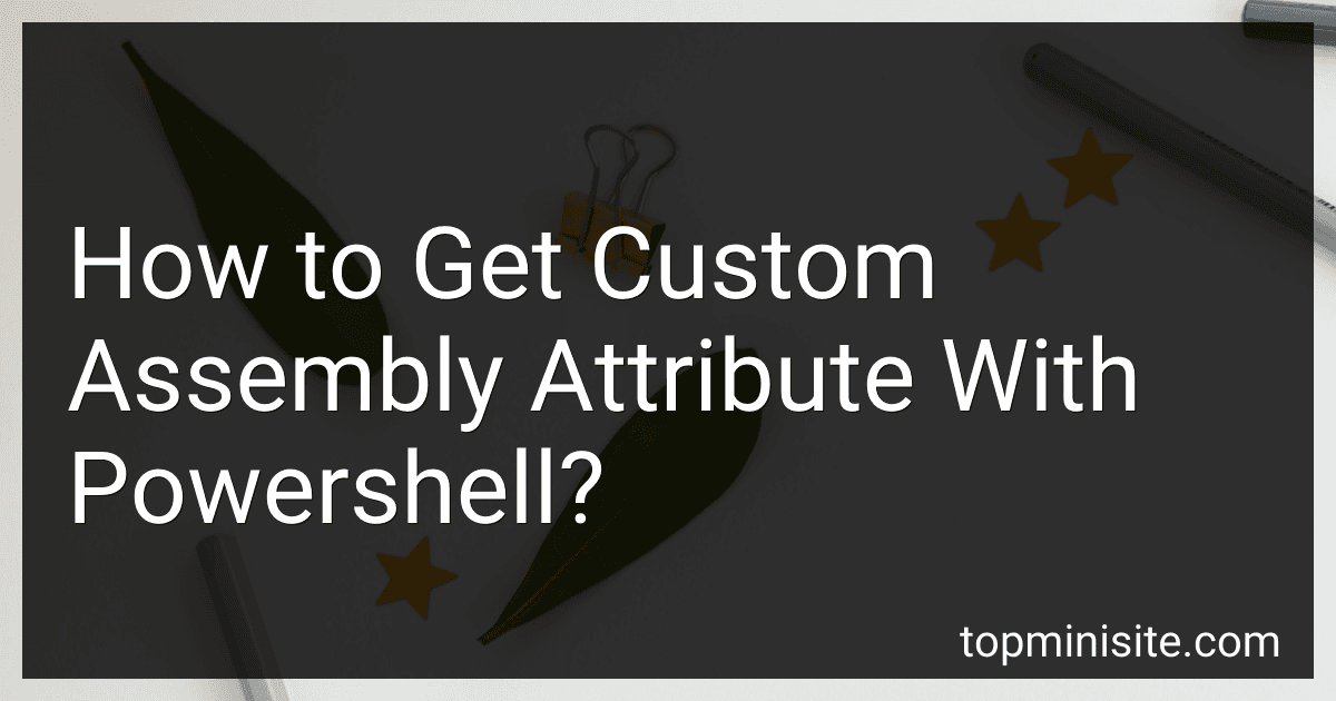 How to Get Custom Assembly Attribute With Powershell? image