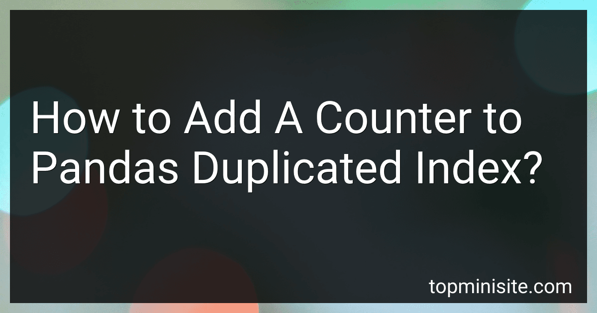 How to Add A Counter to Pandas Duplicated Index? image