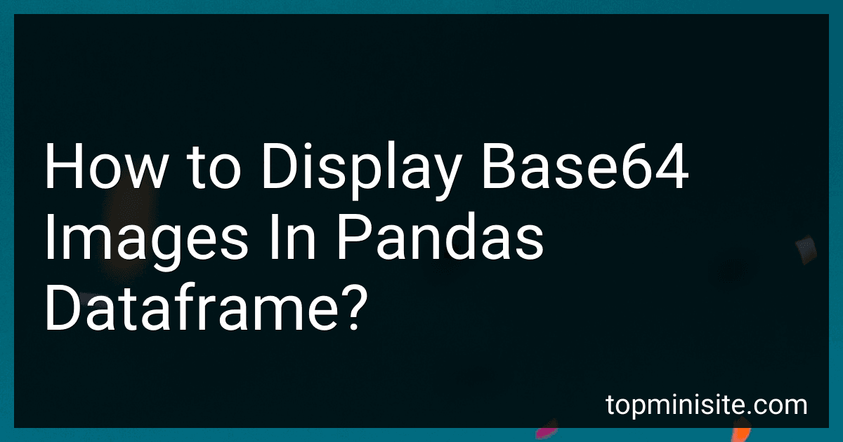How to Display Base64 Images In Pandas Dataframe? image