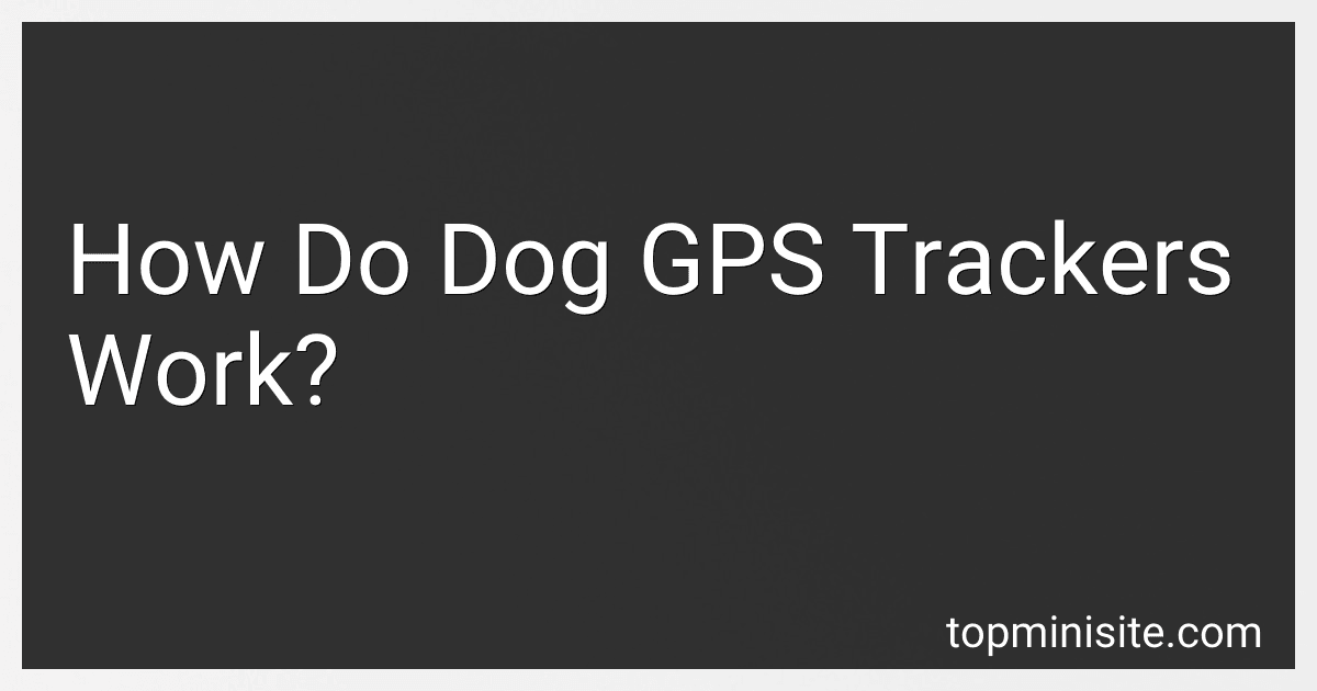 How Do Dog GPS Trackers Work? preview