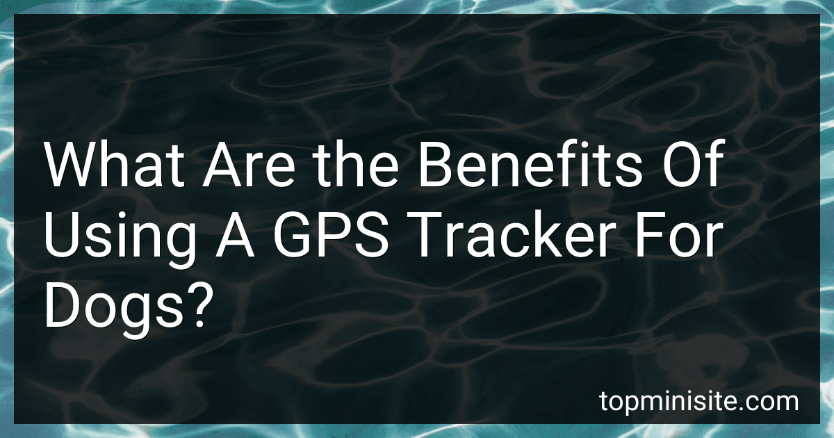 What Are the Benefits Of Using A GPS Tracker For Dogs? preview