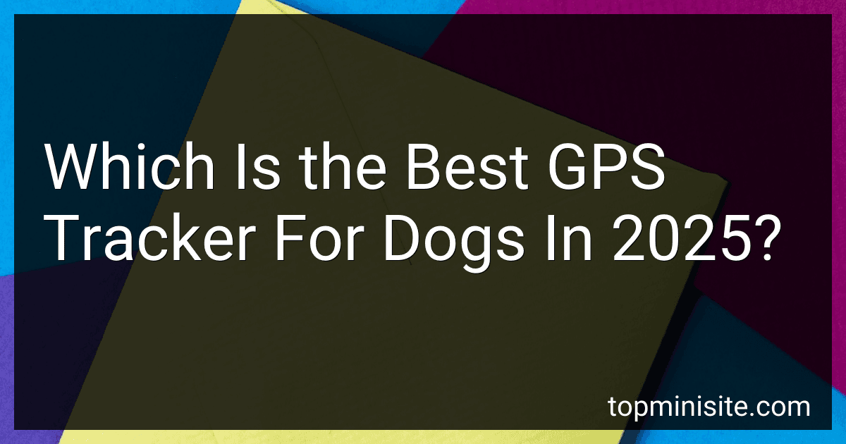 Which Is the Best GPS Tracker For Dogs In 2025? preview