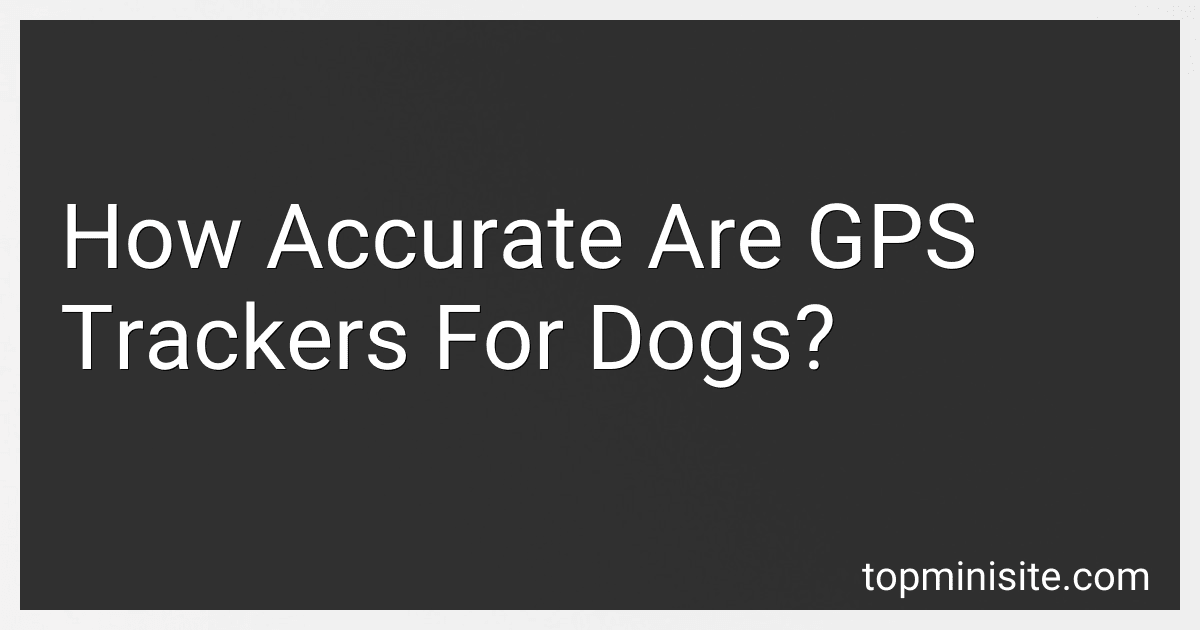 How Accurate Are GPS Trackers For Dogs? preview