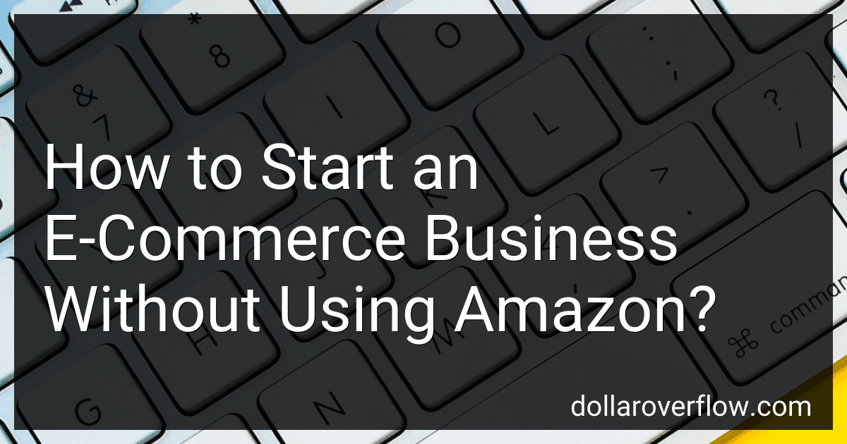 How to Start an E-Commerce Business Without Using Amazon? image