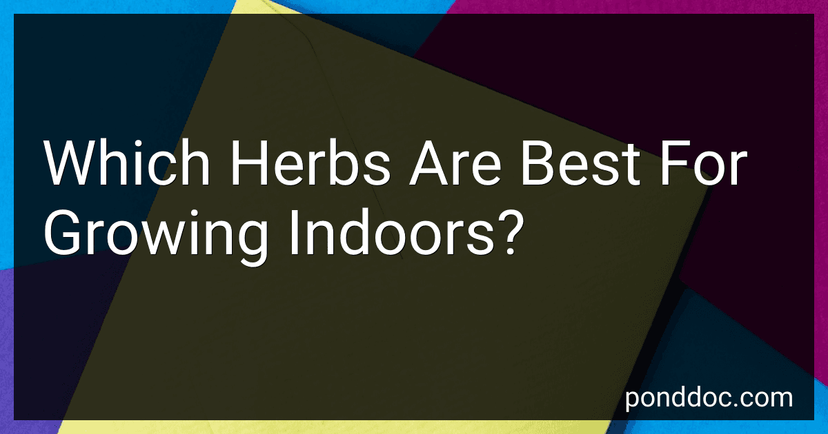 Which Herbs Are Best For Growing Indoors? preview