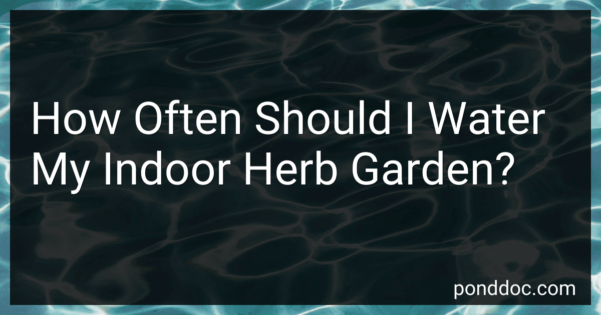 How Often Should I Water My Indoor Herb Garden? preview