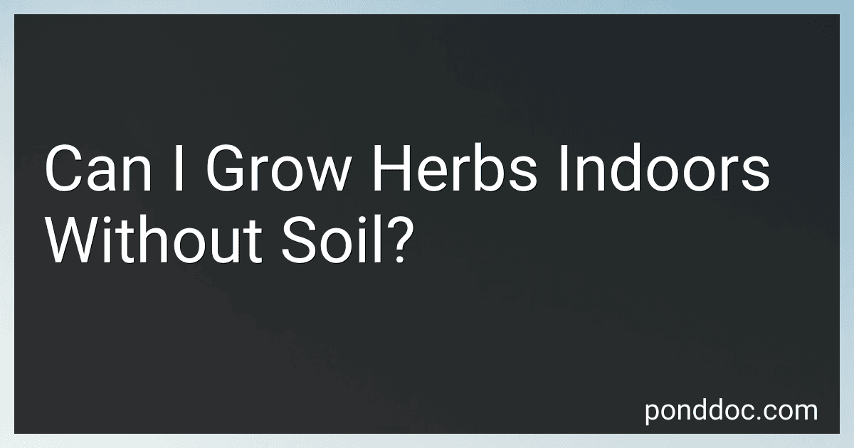 Can I Grow Herbs Indoors Without Soil? image