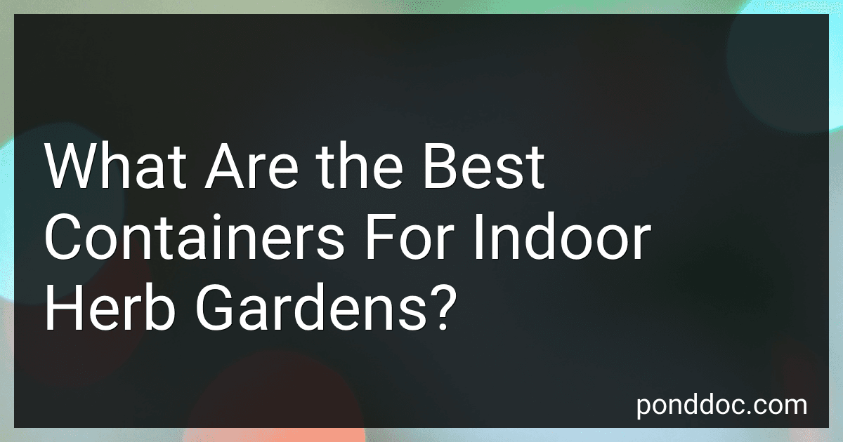 What Are the Best Containers For Indoor Herb Gardens? preview
