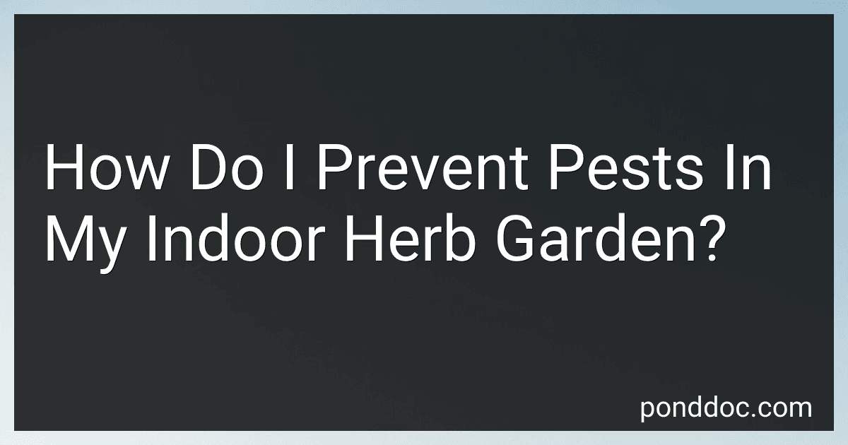 How Do I Prevent Pests In My Indoor Herb Garden? preview