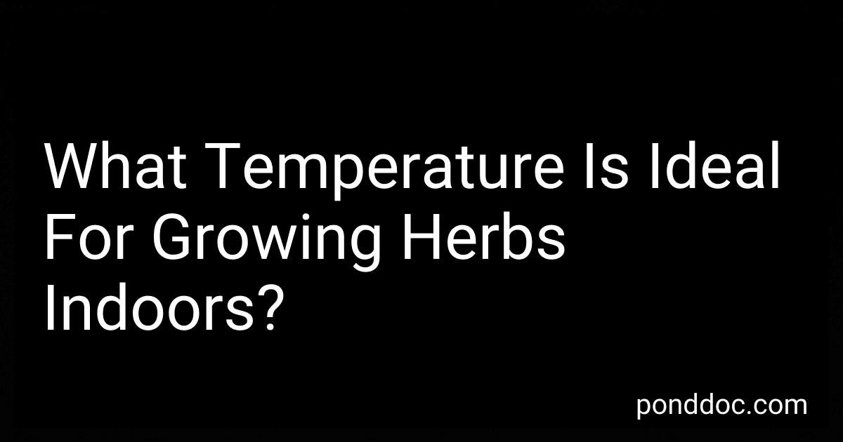 What Temperature Is Ideal For Growing Herbs Indoors? image