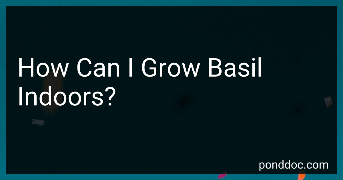 How Can I Grow Basil Indoors? image