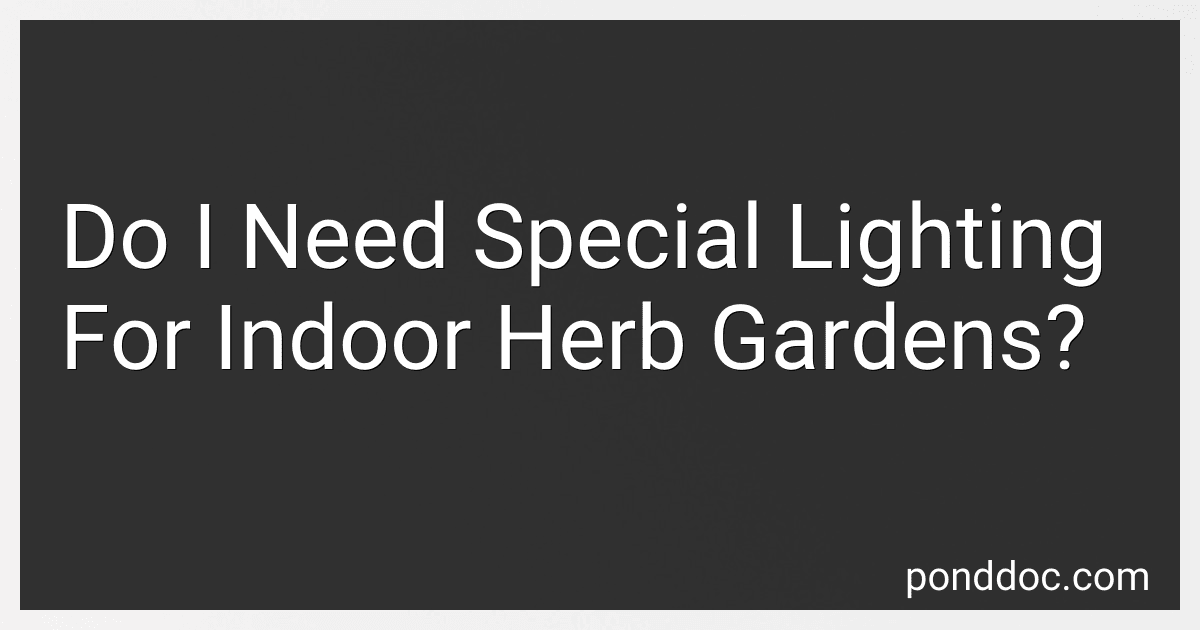 Do I Need Special Lighting For Indoor Herb Gardens? image