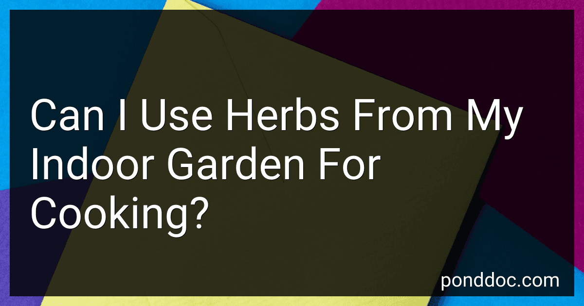 Can I Use Herbs From My Indoor Garden For Cooking? preview