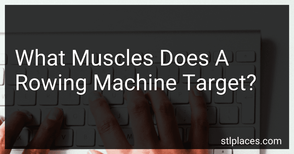 What Muscles Does A Rowing Machine Target? image
