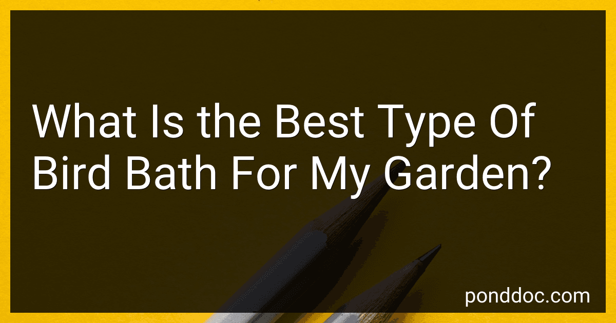 What Is the Best Type Of Bird Bath For My Garden? image
