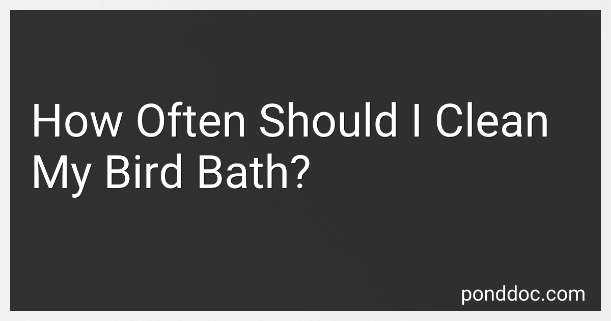 How Often Should I Clean My Bird Bath? preview