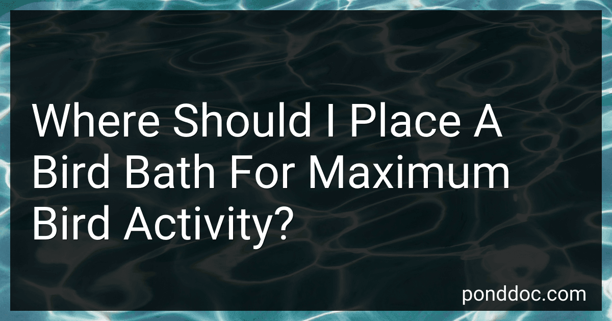 Where Should I Place A Bird Bath For Maximum Bird Activity? preview