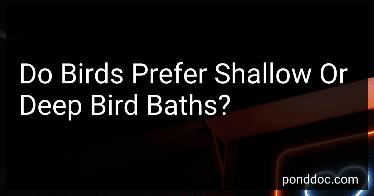 Do Birds Prefer Shallow Or Deep Bird Baths? image