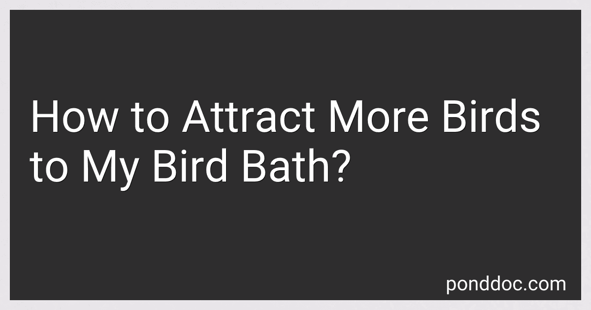 How to Attract More Birds to My Bird Bath? image