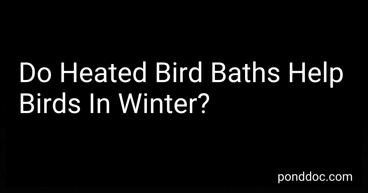 Do Heated Bird Baths Help Birds In Winter? image