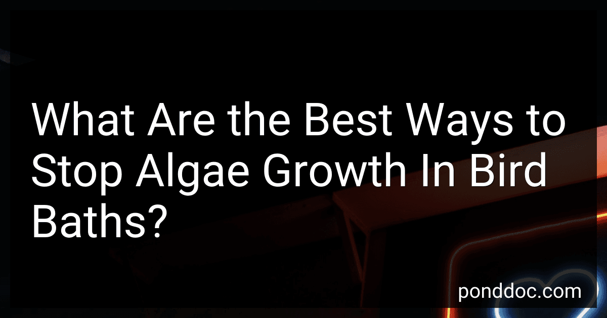 What Are the Best Ways to Stop Algae Growth In Bird Baths? preview