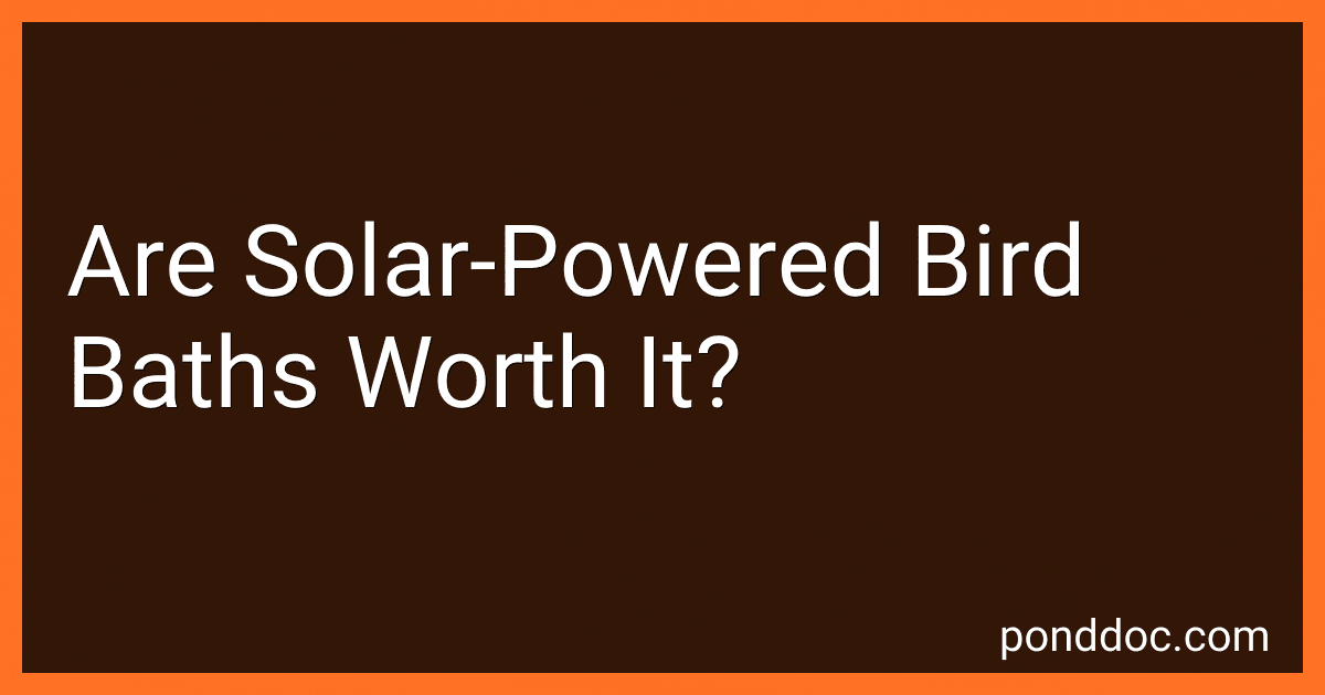 Are Solar-Powered Bird Baths Worth It? preview