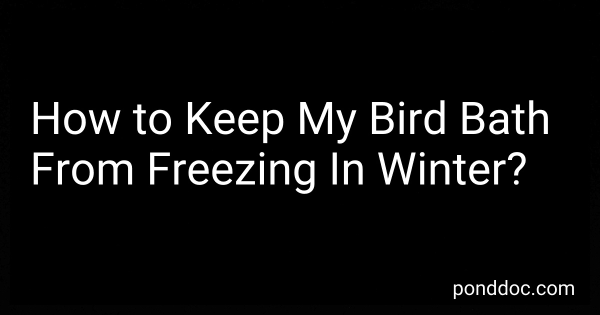 How to Keep My Bird Bath From Freezing In Winter? image