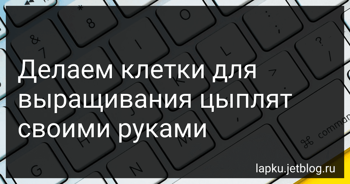 Делаем клетки для выращивания цыплят своими руками image