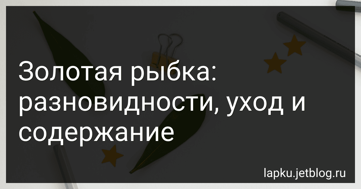 Золотая рыбка: разновидности, уход и содержание image
