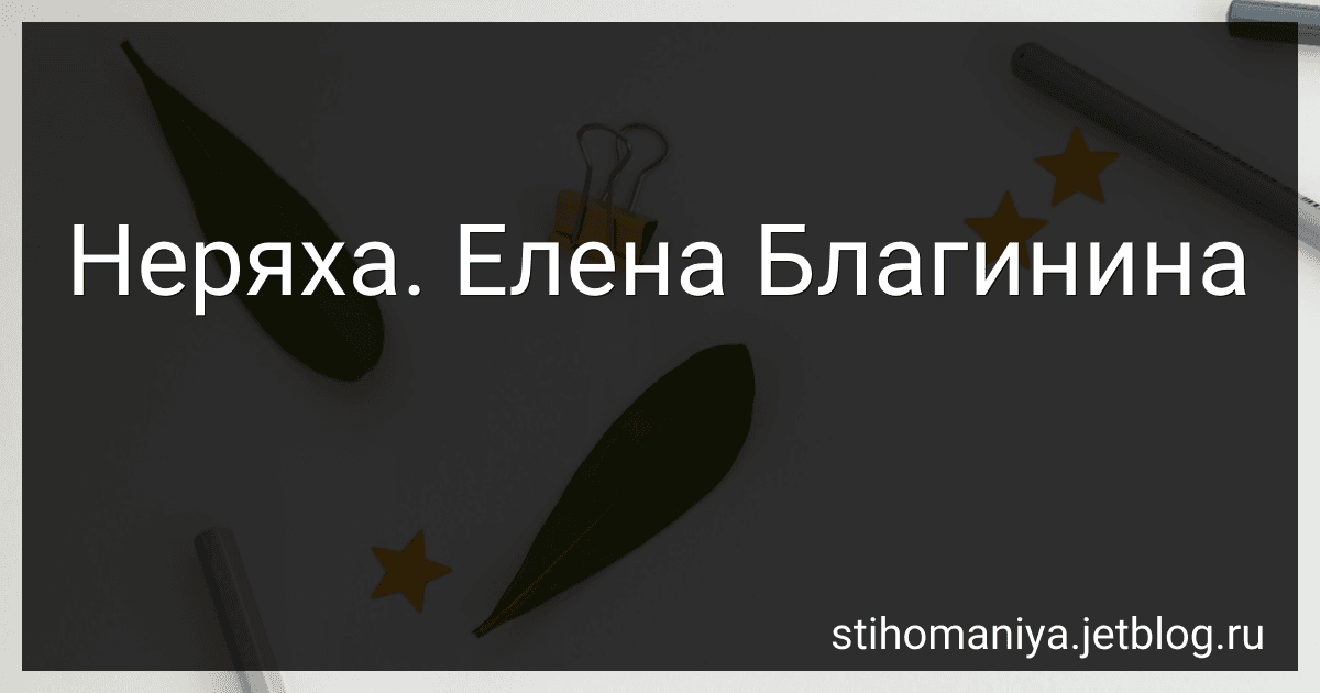 Неряха. Елена Благинина preview