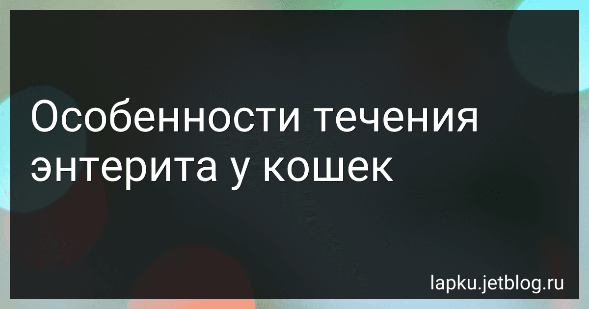 Особенности течения энтерита у кошек image